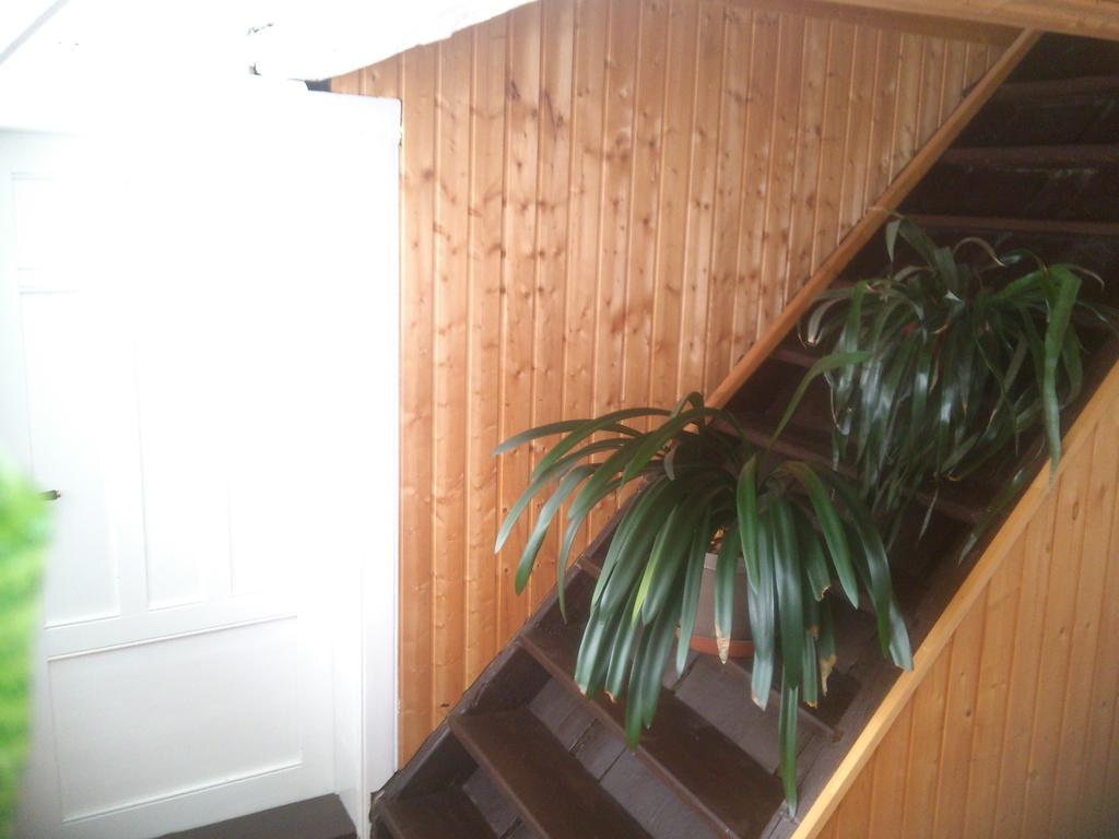 Apartman 141 ชริบสกา ห้อง รูปภาพ